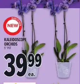 Metro KALEIDOSCOPE ORCHIDS offer
