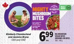 Metro BIG MOUNTAIN VEGGIE BITES GROUNDS OR BITES offer