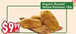 Healthy Planet Organic Russet/Yellow Potatoes 10lb offer
