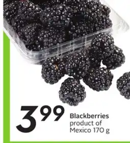 Sobeys Blackberries offer