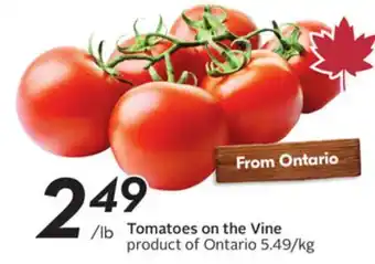 Sobeys Tomatoes on the Vine offer