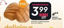 Sobeys Panini or Calabrese Buns offer