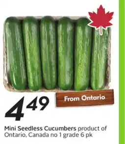 Sobeys Mini Seedless Cucumbers offer