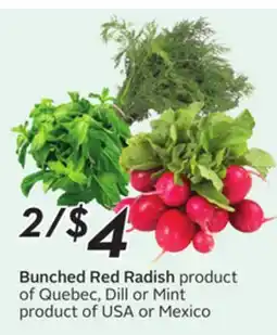Sobeys Bunched Red Radish offer