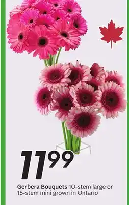 Sobeys Gerbera Bouquets offer