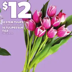 Independent Grocer 10 STEM TULIPS offer
