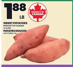 Independent Grocer SWEET POTATOES offer