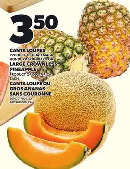 Independent Grocer CANTALOUPES PRODUCT OF GUATEMALA, HONDURAS OR BRAZIL OR LARGE CROWNLESS PINEAPPLE EACH offer