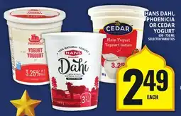 Food Basics HANS DAHI, PHOENICIA OR CEDAR YOGURT offer