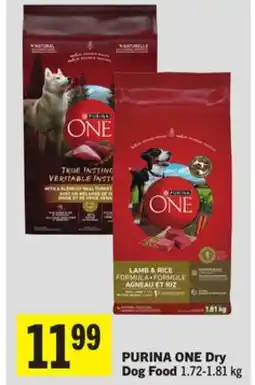 Foodland PURINA ONE Dry Dog Food offer