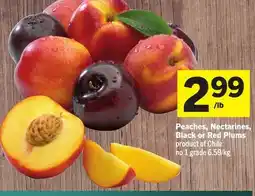 Foodland Peaches, Nectarines, Black or Red Plums offer