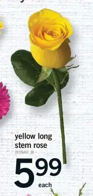 Fortinos YELLOW LONG STEM ROSE offer