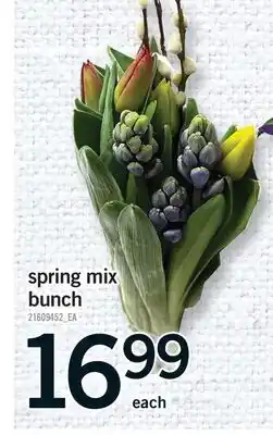 Fortinos SPRING MIX BUNCH offer