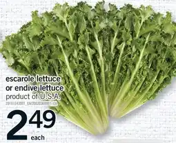 Fortinos ESCAROLE LETTUCE OR ENDIVE LETTUCE offer