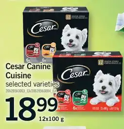 Fortinos CESAR CANINE CUISINE offer