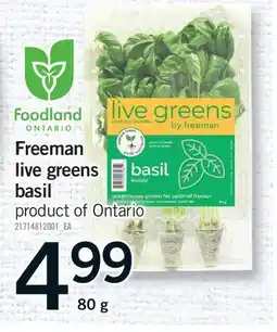 Fortinos FREEMAN LIVE GREENS BASIL offer