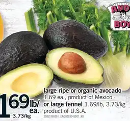 Fortinos LARGE RIPE OR ORGANIC AVOCADO OR LARGE FENNEL offer