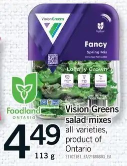 Fortinos VISION GREENS SALAD MIXES offer