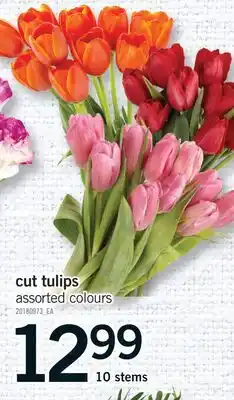 Fortinos CUT TULIPS offer
