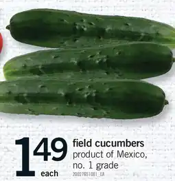 Fortinos FIELD CUCUMBERS offer