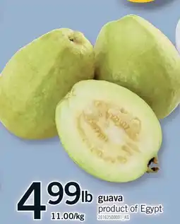 Fortinos GUAVA offer