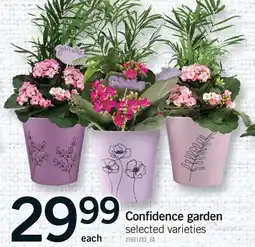 Fortinos CONFIDENCE GARDEN offer