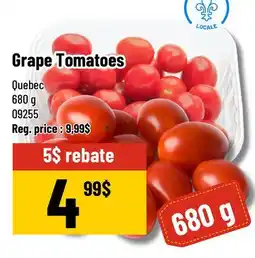 Mayrand Broccoli , Carrots , Tomato ou Iceberg Lettuces offer