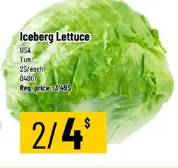 Mayrand Iceberg Lettuce offer