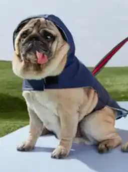 Walmart Imperméable One Paw pour chiens offer