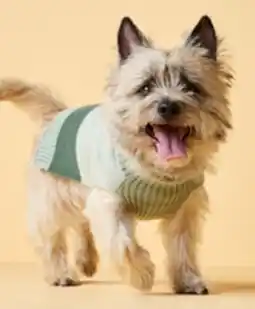 Walmart Chandail One Paw pour chiens offer