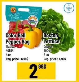 Mayrand Pepper or Boston Lettuce offer
