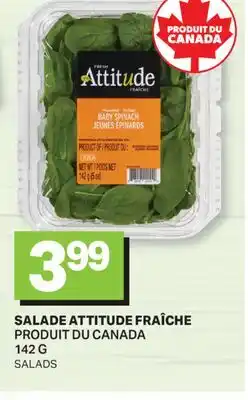 L'Intermarché SALADE | SALADS offer