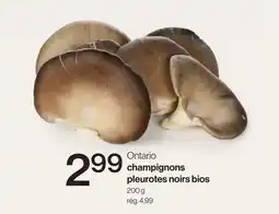 Avril champignons pleurotes noirs bios offer