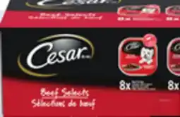 Walmart Cesar wet dog food offer