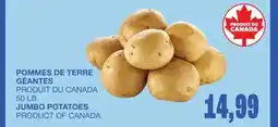 Wholesale Club POMMES DE TERRE GÉANTES offer