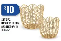 Canac Set of 2 Baskets Bloom offer
