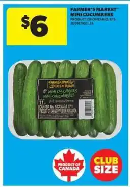Real Canadian Superstore FARMER'S MARKET MINI CUCUMBERS offer