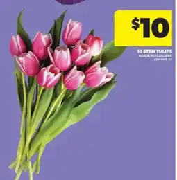 Real Canadian Superstore 10 STEM TULIPS offer