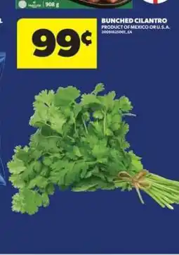 Real Canadian Superstore Bunched Cilantro offer