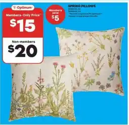 Real Canadian Superstore SPRING PILLOWS offer