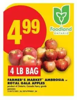 No Frills Farmer's Market Ambrosia or Royal Gala Apples offer