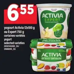 Maxi yogourt Activia 12x100 g ou Expert 750 g offer