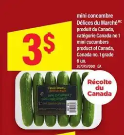 Maxi mini-concombre DÉLICES DU MARCHÉ offer