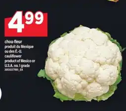 Maxi CHOU-FLEUR offer