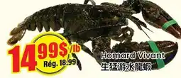 Btrust Supermarket Homard Vivant offer