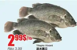 Btrust Supermarket Tilapia Vivant offer