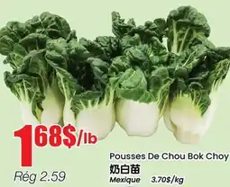 Btrust Supermarket Pousses De Chou Bok Choy offer