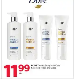Rexall DOVE Derma Scalp Hair Care offer