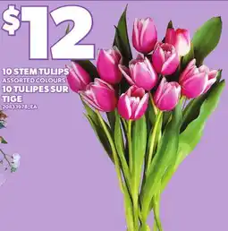 Independent City Market 10 STEM TULIPS offer