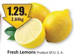 Starsky Fresh Lemons offer